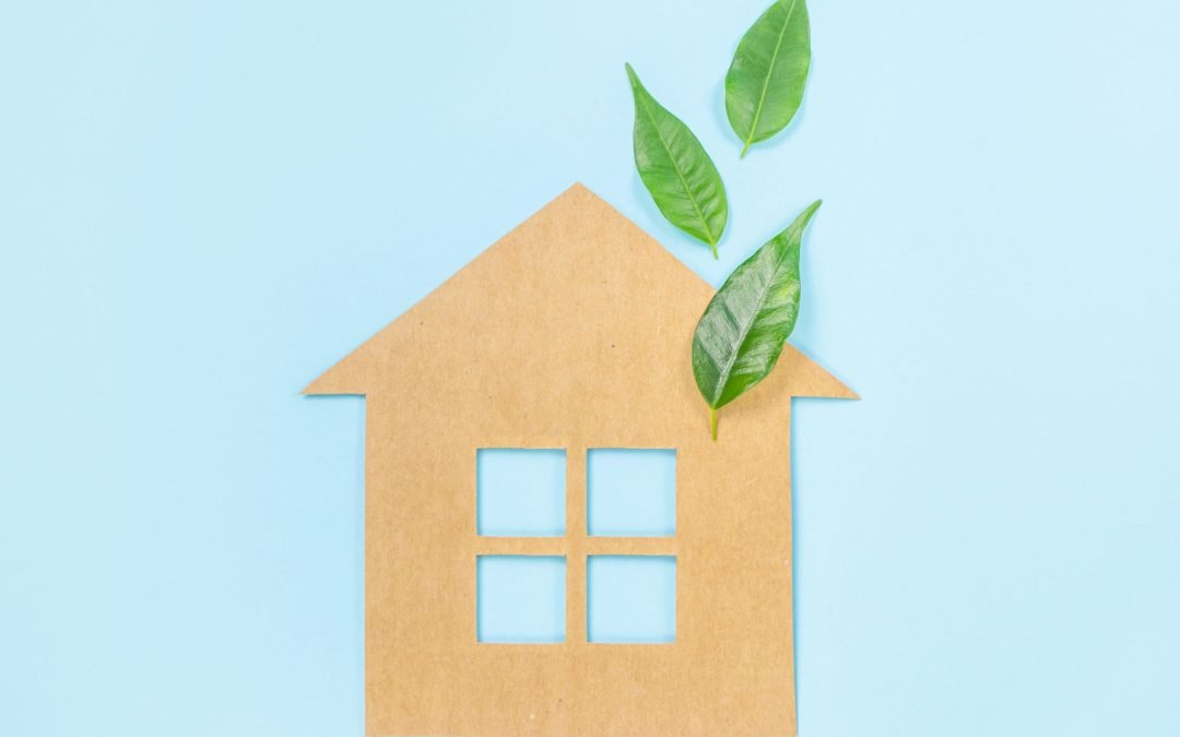 Building Green: The Smart and Sustainable Way to Craft Your Home